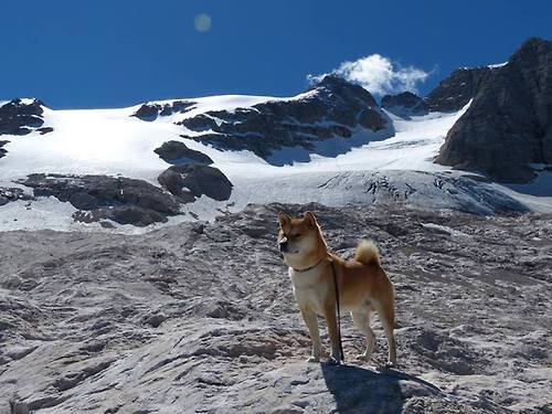 _掘金队士气高昂,迎难而上_,掘金队实力如何