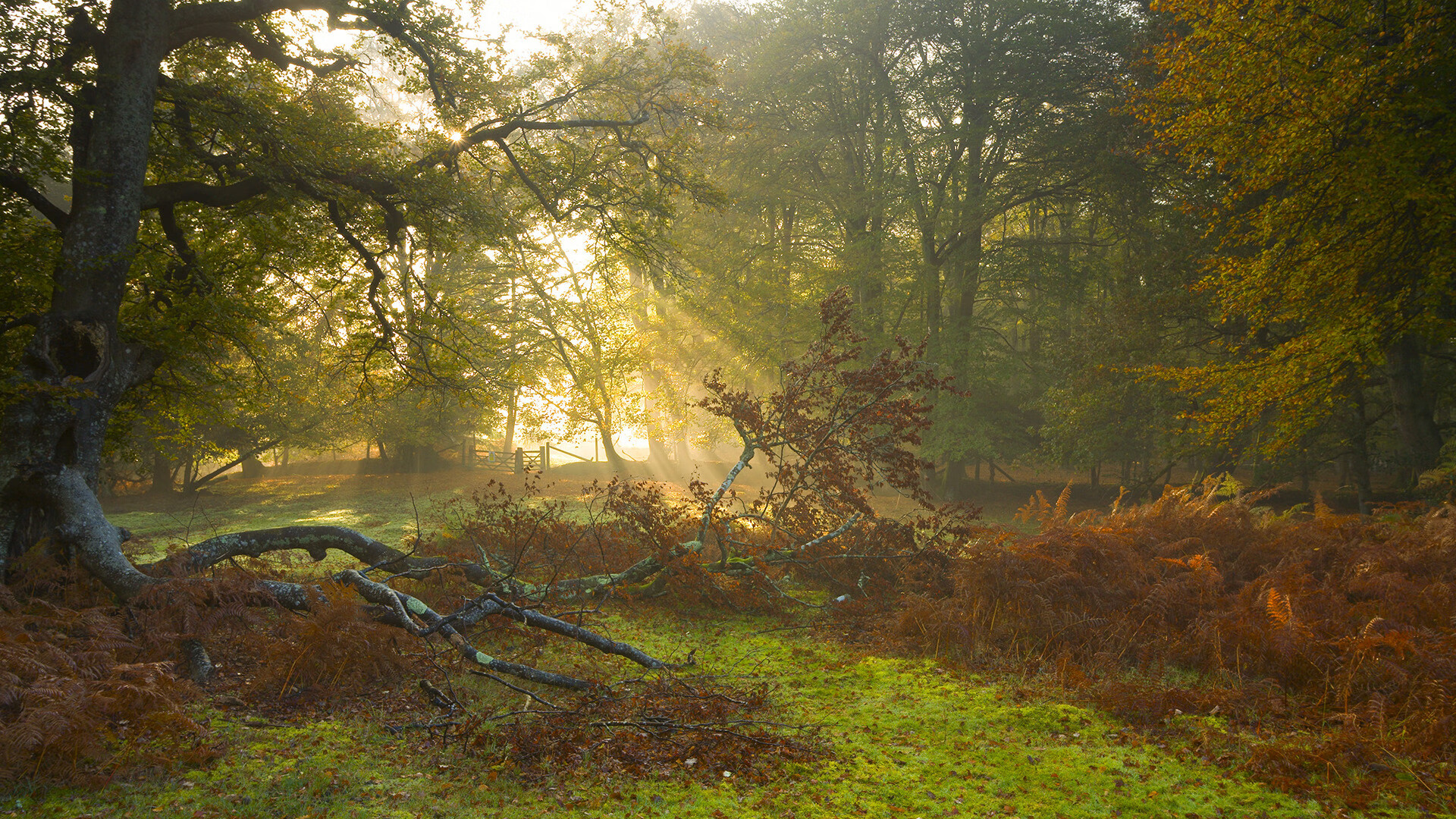 _沙滩排球+网球：全方位运动体验_，沙滩排球的网有多高