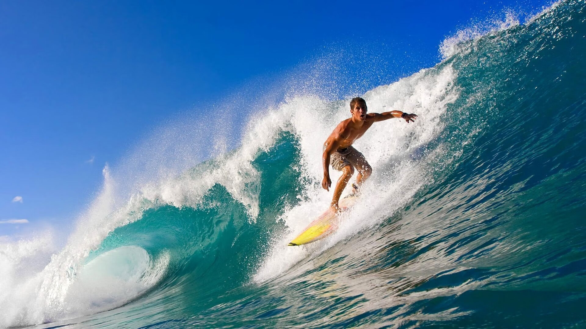 “战术揭秘:团队如何打造无敌防线?”,打造团队战斗力