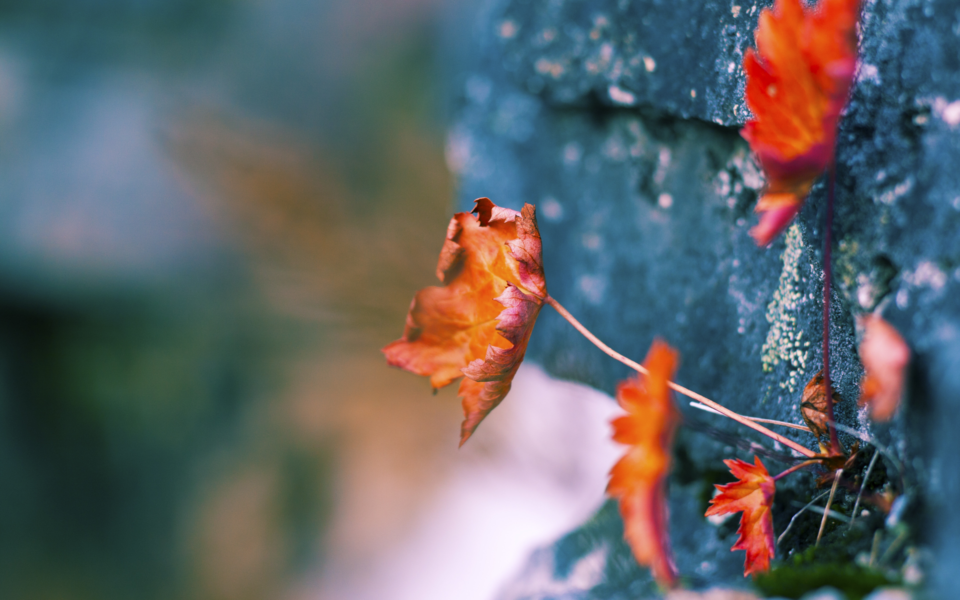 中国篮球运动在国际舞台上的逐渐崛起，简述中国篮球运动的发展情况