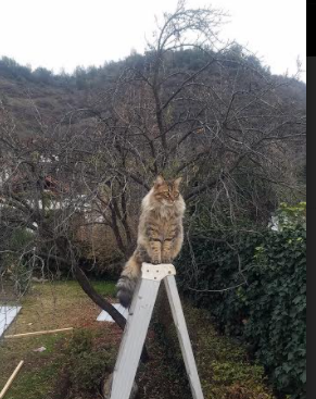 Kaiyun(中国)开云-战术创新：新颖打法革新比赛节奏，战术创新的方法有哪些