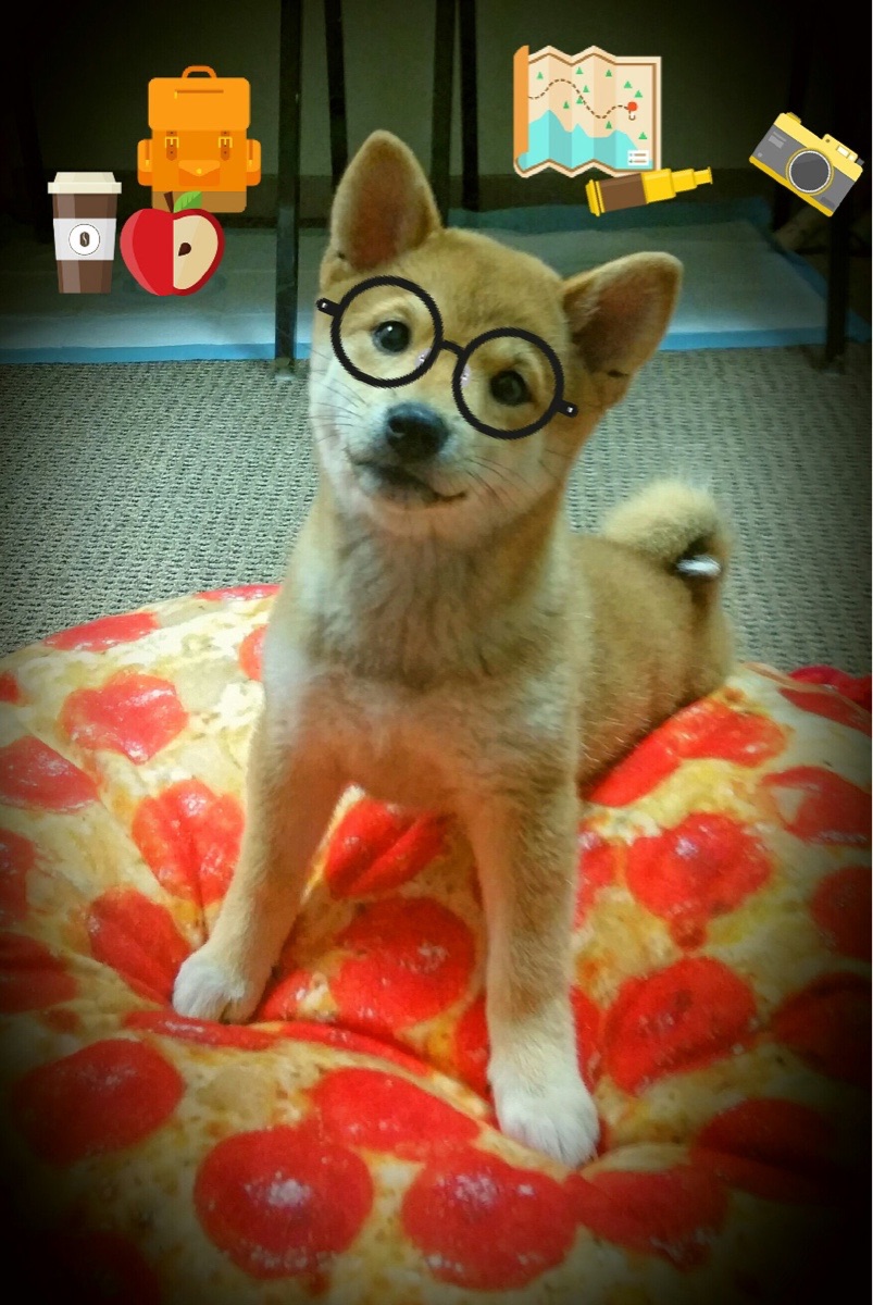 国足防线稳固，失球率持续下降，国足防线稳固,失球率持续下降