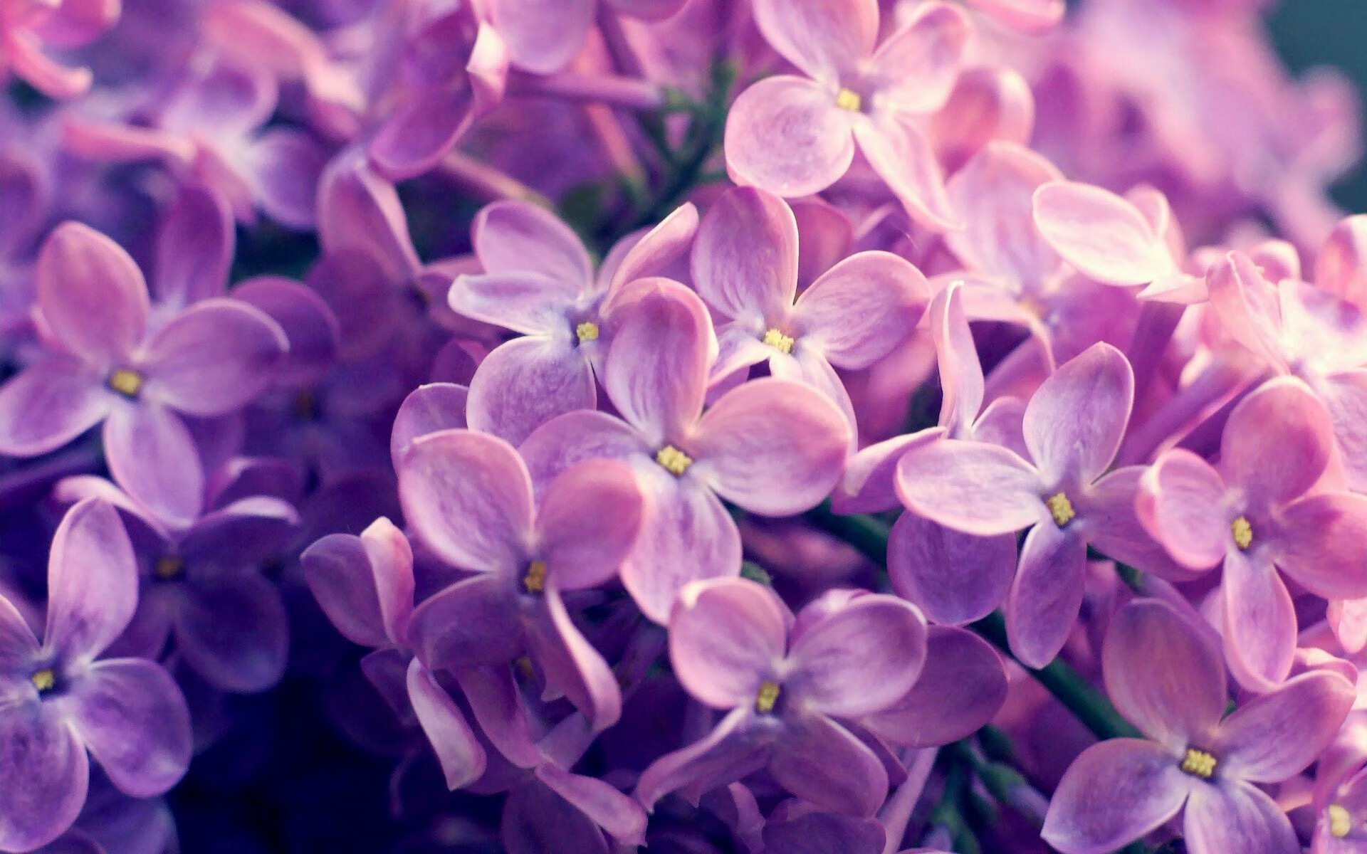 开云官方网页登录-奥运大黑马？英格兰横扫强敌挺进四强，英格兰晋级四强