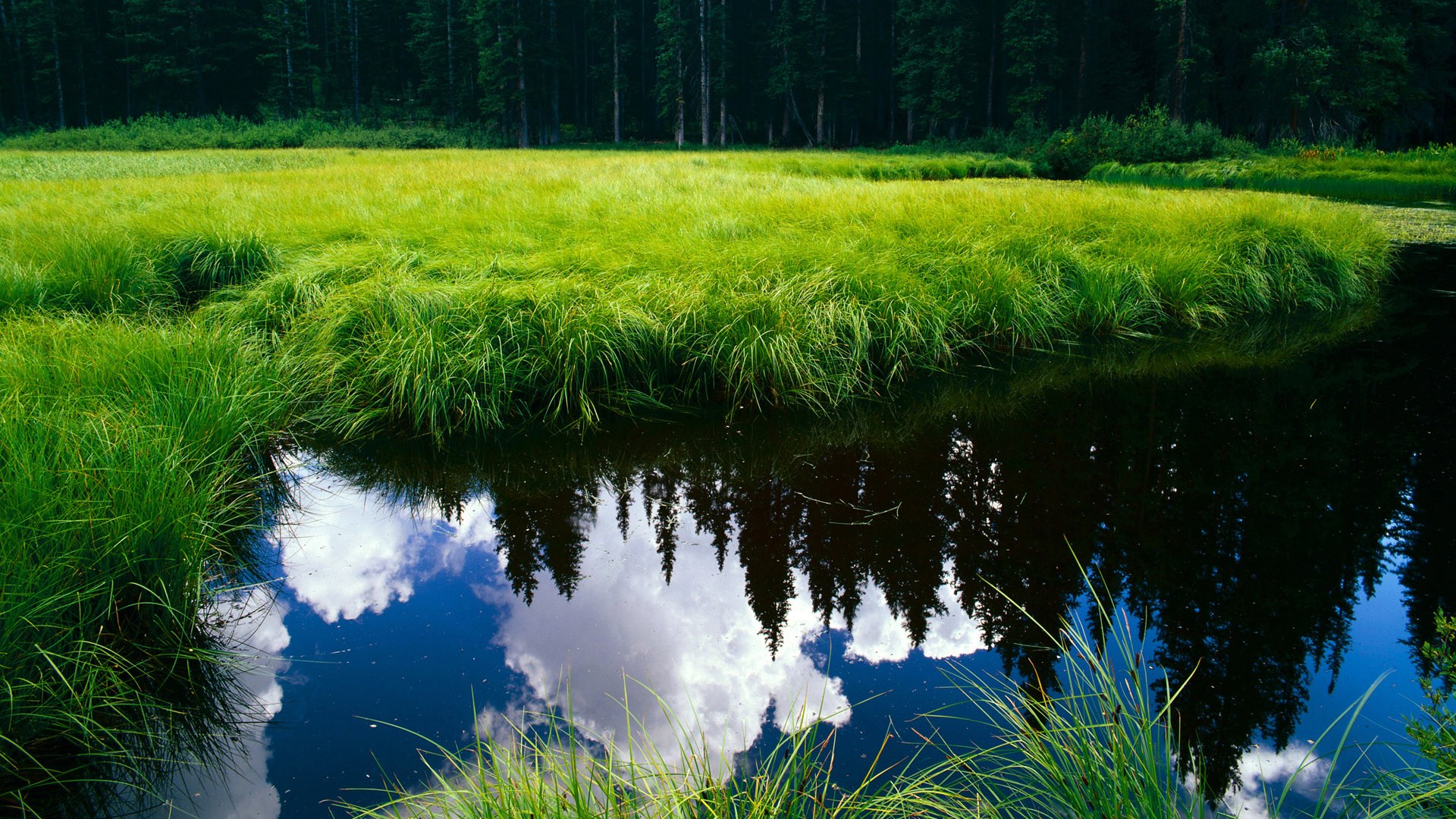 kaiyun开云·官方网站-楚阿梅尼转会至皇家马德里，楚瓦梅尼