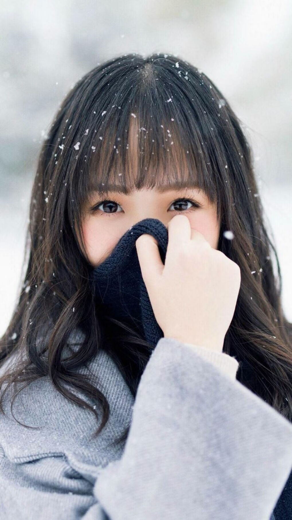 篮球教练员战术沟通效率提升研究,篮球教练战术安排