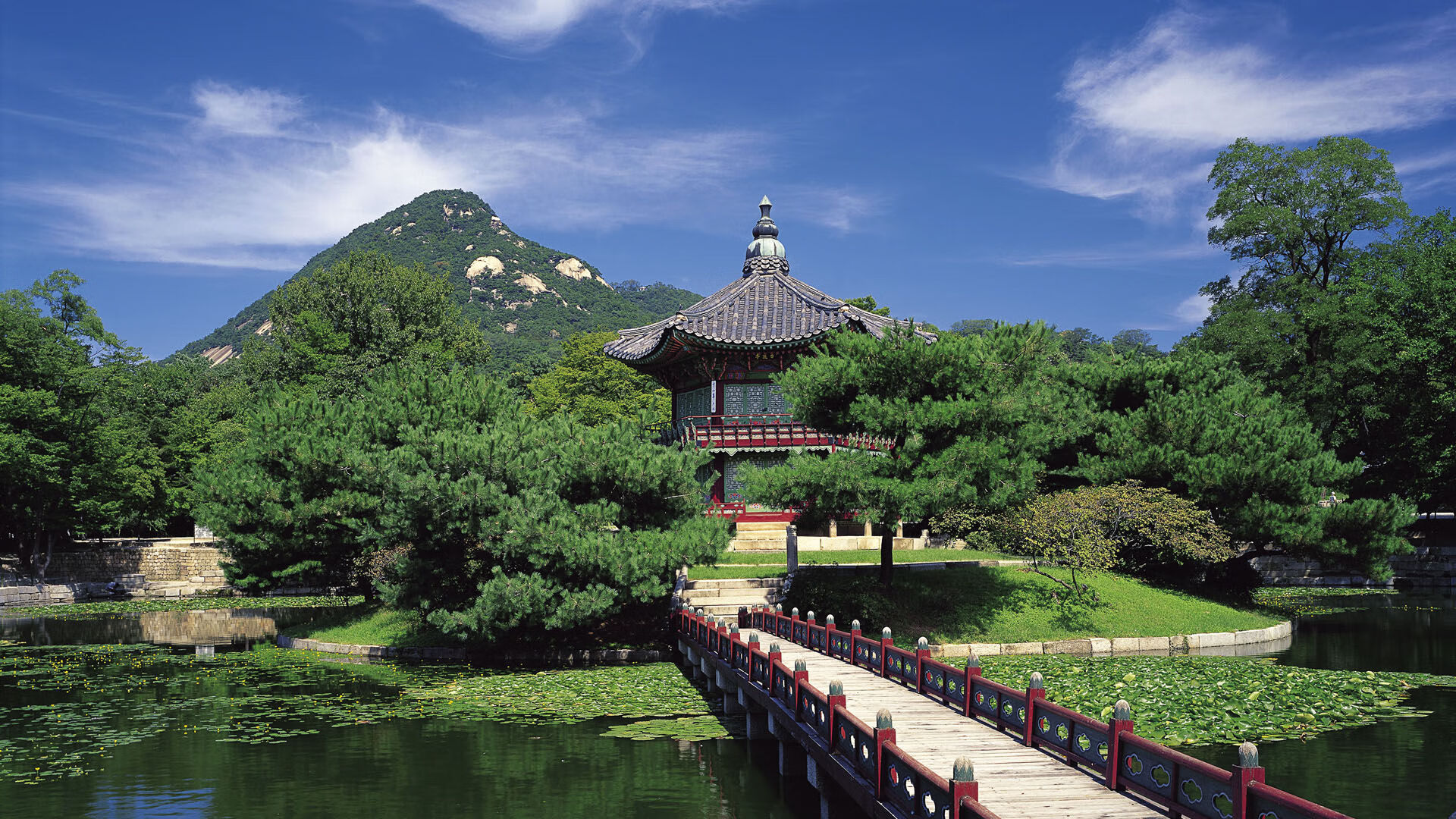 开云官方网页登录-五大联赛最具创造力的前腰球员全面盘点，五大联赛最具创造力的前腰球员全面盘点是谁