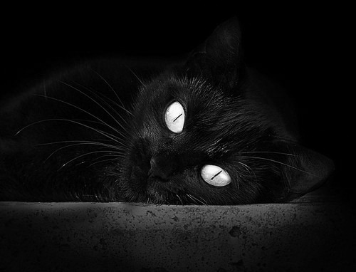 连胜终结后，球队表示将认真总结问题。，连胜结束