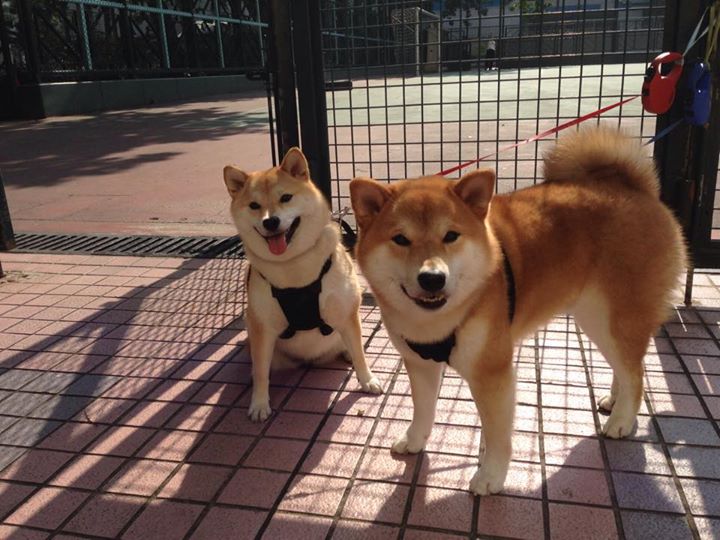 开云·Kaiyun网页版-俄罗斯男篮在欧洲国家联赛中迎来全面复苏