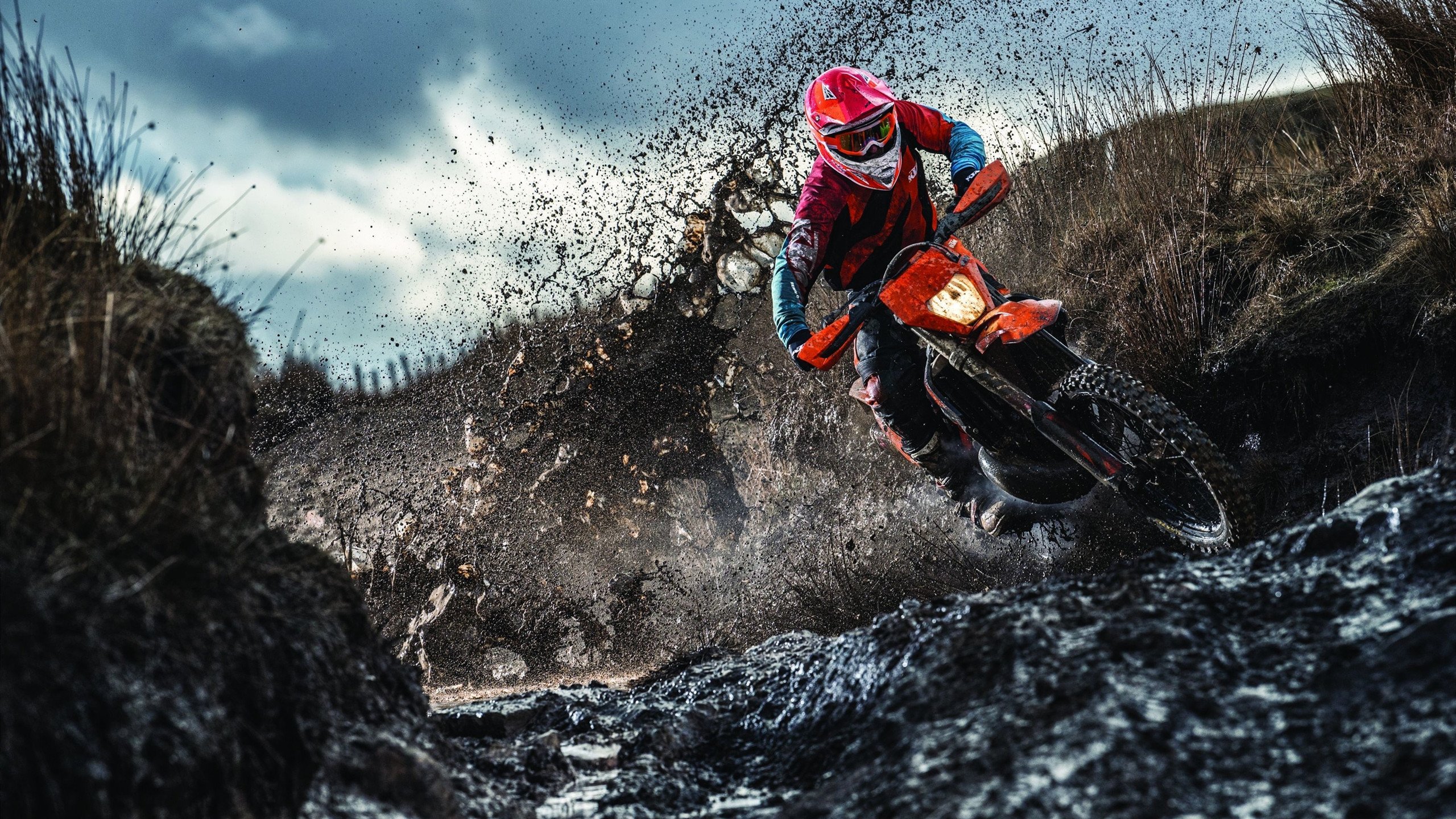 开云·体育官方网站入口-光明记忆未来之星线上赛，雄鹰展翅迎战强敌，光明记忆海报